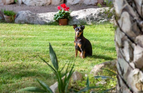 Osimo Bed & Breakfast | B&B LA GRADINA