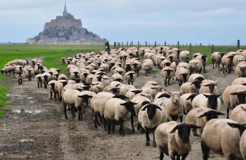Pontorson Bed & Breakfast | B&B La Rive - Le Mont Saint Michel