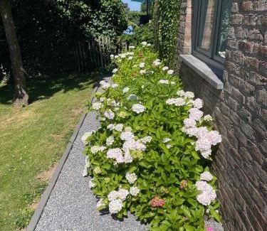 Sart-lez-Spa Bed & Breakfast | B&B Le calme sur les hauteurs de Spa