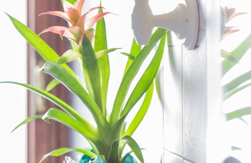 Florence Bed & Breakfast | B&B Palazzi
