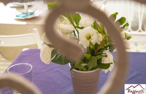 Terzigno Bed & Breakfast | B & B Raffaello