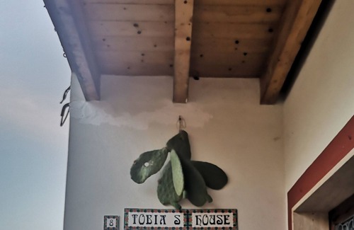 Giuggianello Bed & Breakfast | B&B TOBIA'SHOUSE Orange: A REAL SALENTO EXPERIENCE