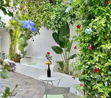 Volla Apartment | B&B Toci