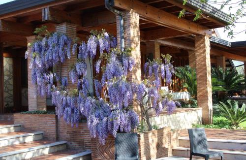 Alatri Bed & Breakfast | B&B Villa Sbaraglia