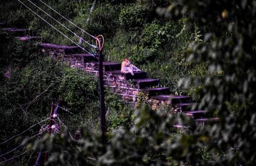 Almora House | B2 Guest House
