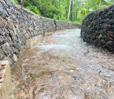 Irinjalakuda Villa | Bachelor's Tharavaadu