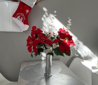 Old Town Baeza Apartment | Baeza aloja cuenta con servicios a 1 y 5 minutos