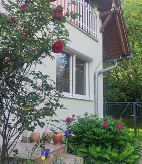Balatonfoldvar Apartment | Balaton Apartman