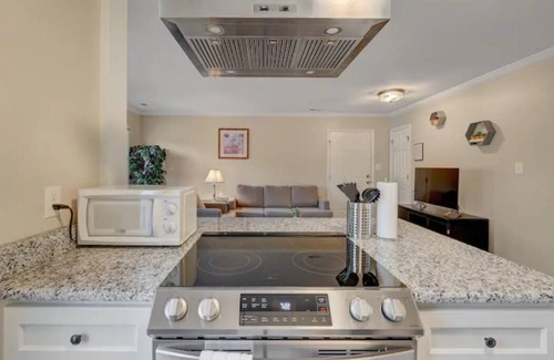 Durham Apartment | Balcony - Downtown - Duke - UNC - Pet Friendly