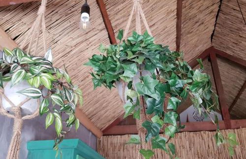 Velsen-Zuid House | Balistyle guesthouse incl Hottub near Amsterdam and Haarlem