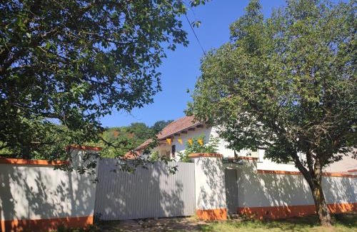 Besenovacki Prnjavor House | Balkan Retreat