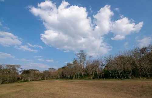 Masinagudi House | Bamboo Banks Farm & Guest House