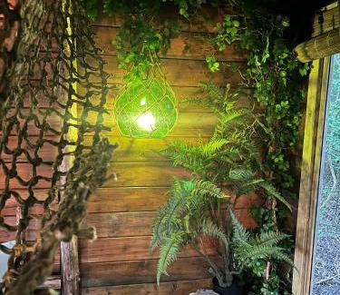 Groningen Bed & Breakfast | Bamboo Lodge Groningen