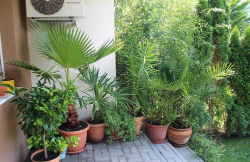 Siofok Aranypart Apartment | Bamboo Wellness Apartment