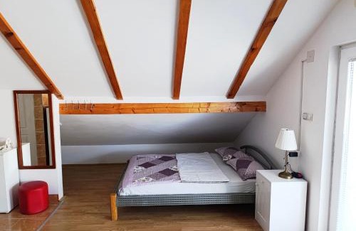 Vrujci Apartment | Banja Vrujci KNN 95