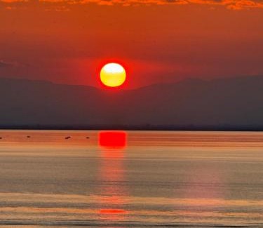 Thessaloniki City Centre Apartment | Baobloom by the sea in the heart of Thessaloniki
