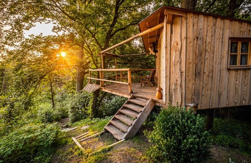 Varvazov Other | Baráček na stromě - ubytování v korunách stromů, TreeHouse