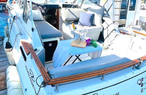 Costa Adeje Boat Rental | Barco SIHNNY - Puerto Colón
