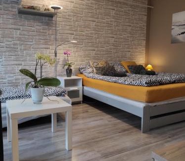 Kaposvar Apartment | Baross apartman