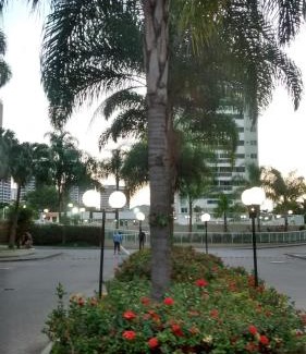 Camorim Apartment | Barra Rio Centro