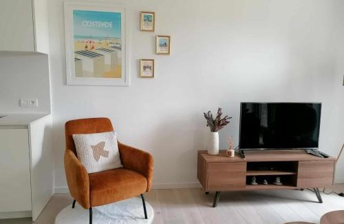Ostend Apartment | Bartine - modern and spacious flat near the sea, free parking space
