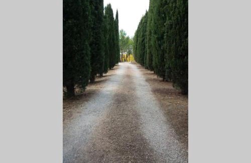 Aups House | Bastide au milieu des vignes et des oliviers Aups