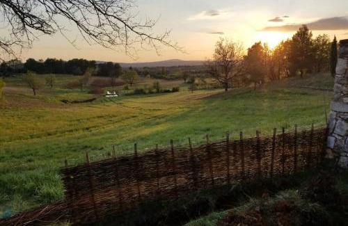 Aups House | Bastide au milieu des vignes et des oliviers Aups