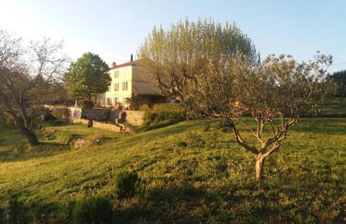 Aups House | Bastide au milieu des vignes et des oliviers Aups