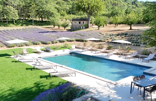 Apt House | Bastide de l'Esclat - Pool - lavender fields
