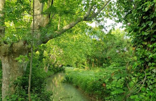 Perols Villa | Bastide Philomen