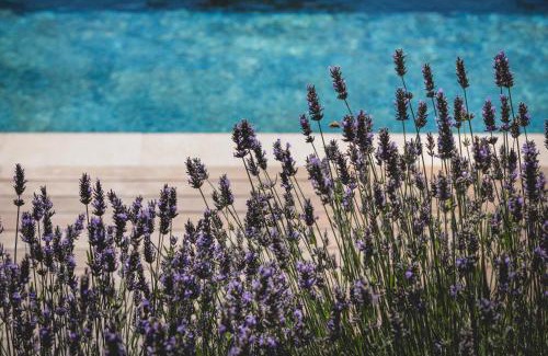 Bandol Bed & Breakfast | Bastide Sainte Trinide