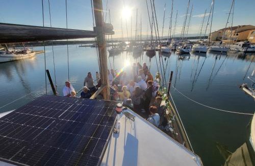 Port Leucate Boat Rental | Bateau odin
