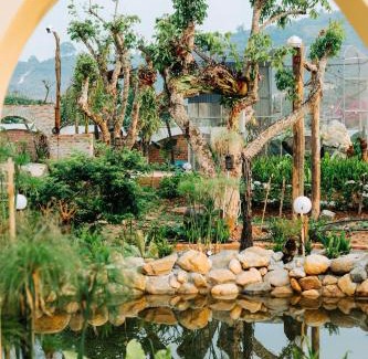 Moc Chau Hotel | Bazan Home Mộc Châu