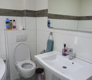 Bajina Basta House | BB Sima