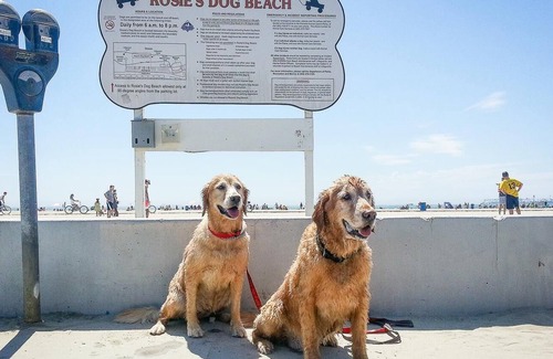 Belmont Shore House | Beach House Parking A/C Dogs Ok
