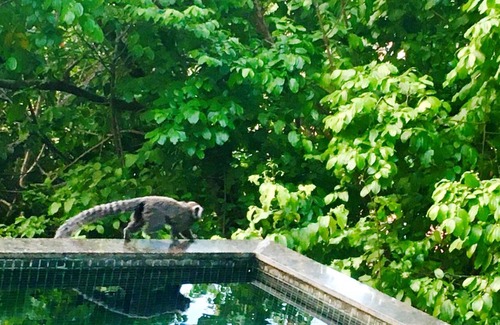 Loteamento Aguas Compridas House | Beach house with hydro pool with spectacular views