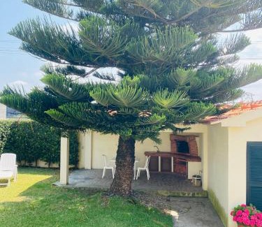 Cortegaca House | Beach Tree House