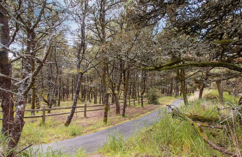 Shorepine Village House | Beachcomber Cottage #161 - Darling family & dog friendly townhome. Pathways to beach.