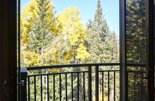 Mountain Village Condo | Bear Creek Lodge - 1 Bedroom with Forest View