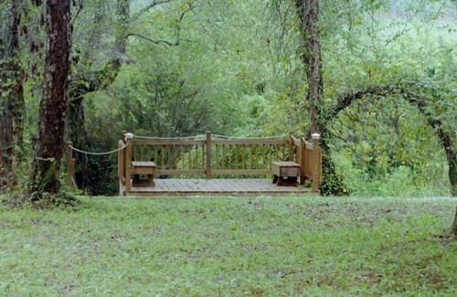 Murphy Cabin | Bear Necessity Log Cabin -