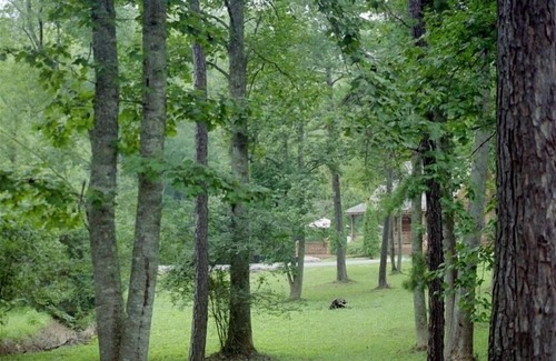 Murphy Cabin | Bear Necessity Log Cabin -