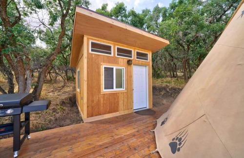 Mount Pleasant RV Rental | Bear Paw Den · Glamping Teepee w/King Bed sleeps 4 w/private pond