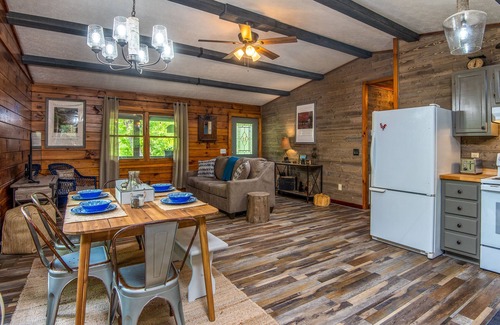 Waynesville Cabin | Bear's Den!