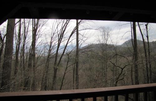 Townsend House | Bear View