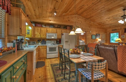 Blue Ridge Cabin | Bear Watch - Blue Ridge