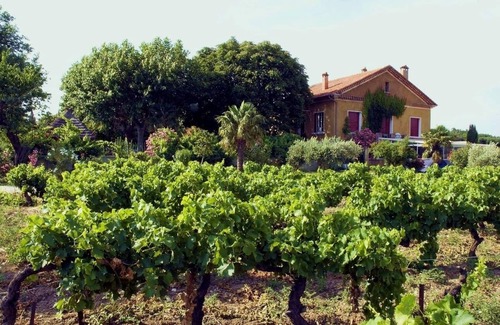 Violes Cottage | BEAU GITE EN PROVENCE 60 M2 ENTIRELY NINE FOOT OF LACE MONTMIRAIL