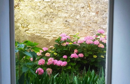 Beaugency House | Beaugency "la Conserverie" Entre Ville et Campagne