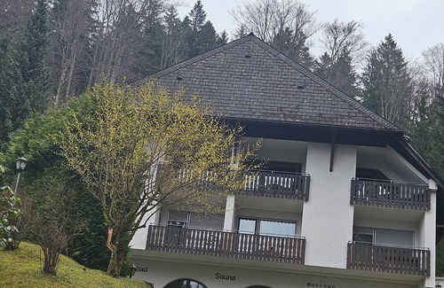 Triberg im Schwarzwald Apartment | Beautiful accommodation by the waterfalls