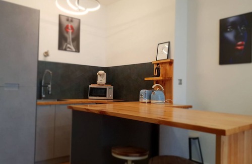 Nantes Centre Apartment | Beautiful 1Bd Apartment in the Heart of Nantes.Castle, TGV station.