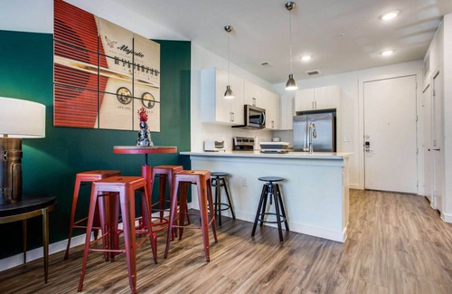 East Riverside - Oltorf Apartment | Beautiful 1BR in Riverside 6833
